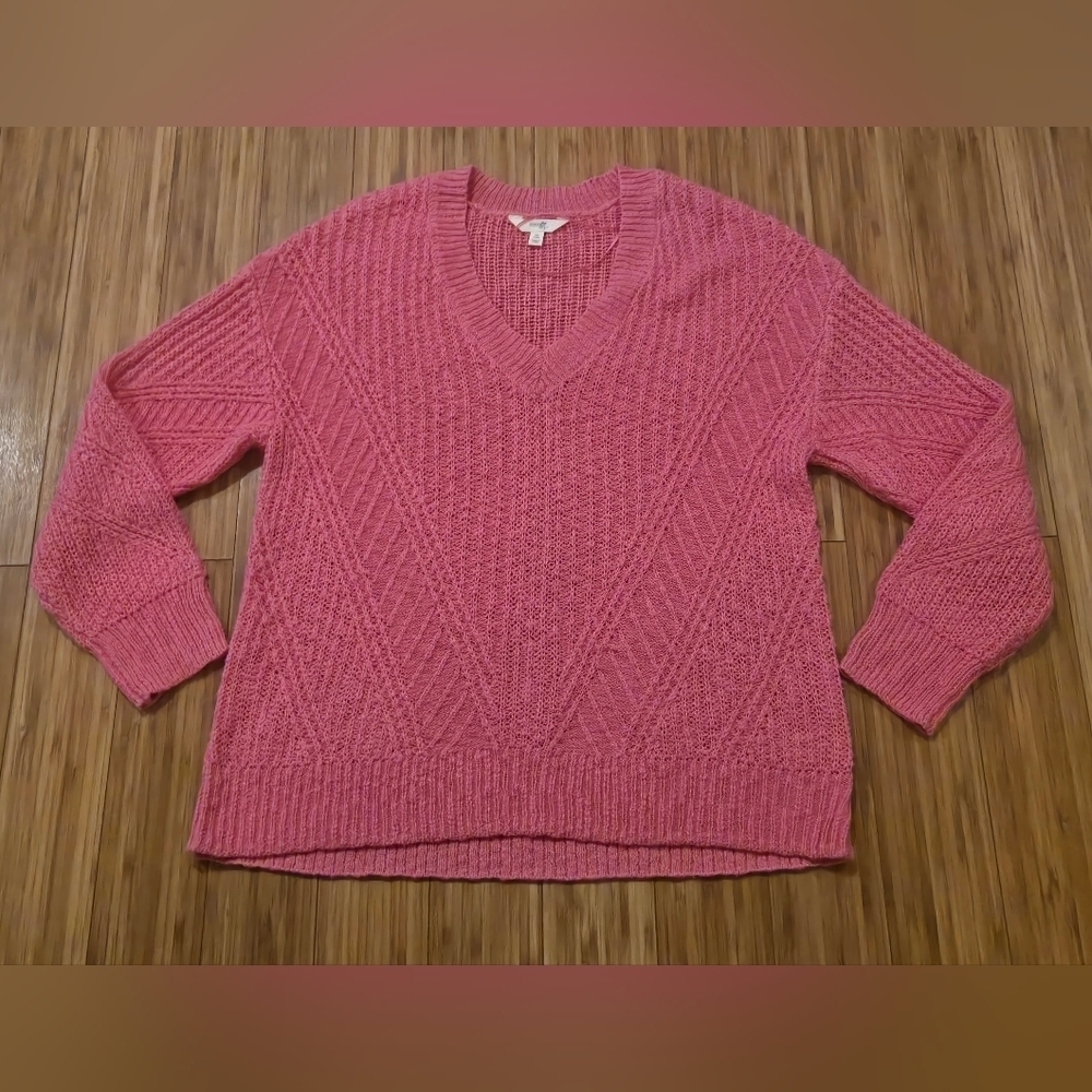 NWOT Terra & Sky Pink V-Neck Sweater